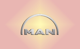 ✓ MAN 51.00900.6337 Запчасти МАН (MAN) 